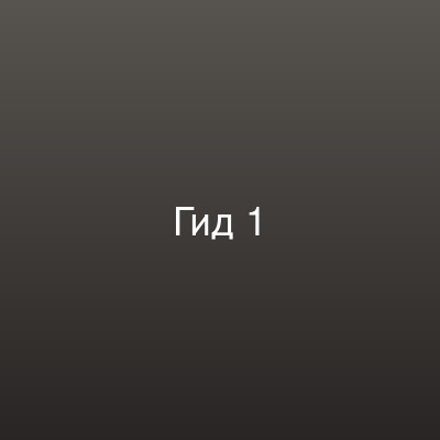 Денис Ф. — отзыв